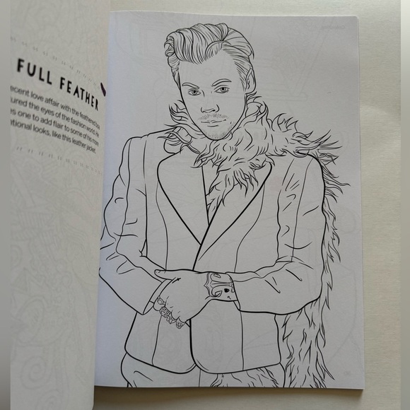 Harry Styles Coloring and Activity Book - Picture 3 of 4